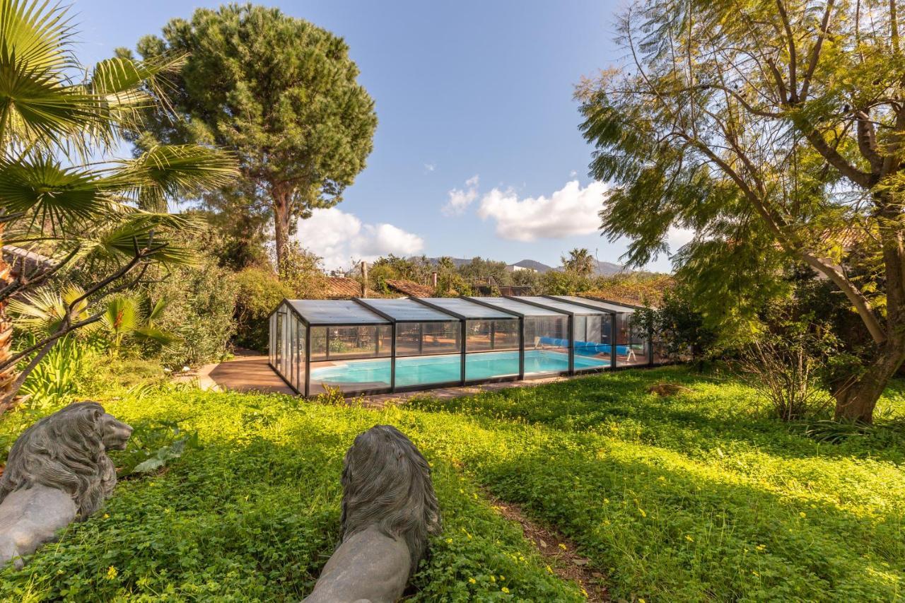 Villa Domus Sicily - Il Giardino di Michela Mondello Esterno foto