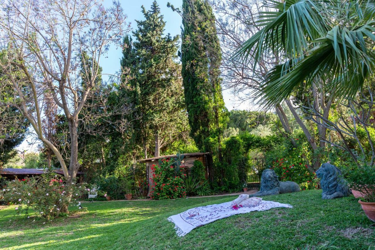 Villa Domus Sicily - Il Giardino di Michela Mondello Esterno foto