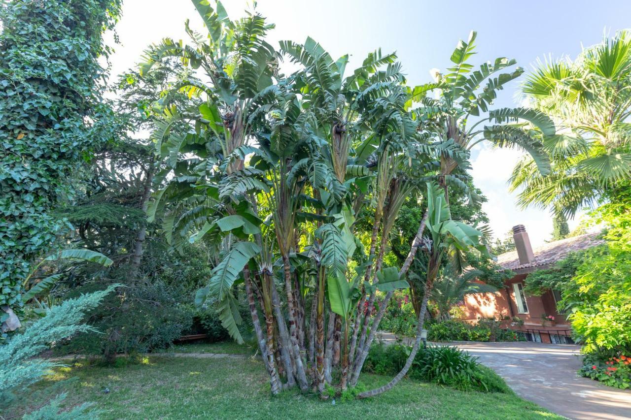 Villa Domus Sicily - Il Giardino di Michela Mondello Esterno foto