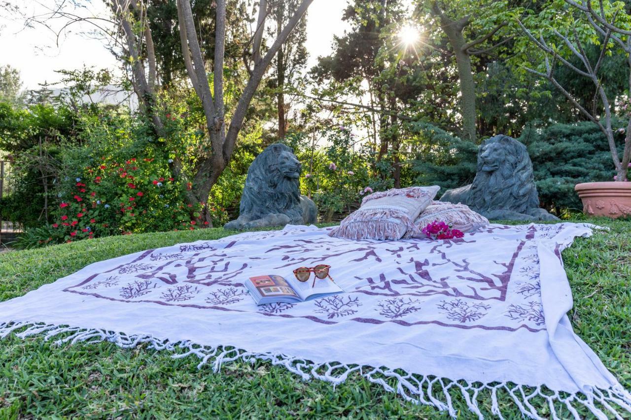 Villa Domus Sicily - Il Giardino di Michela Mondello Esterno foto